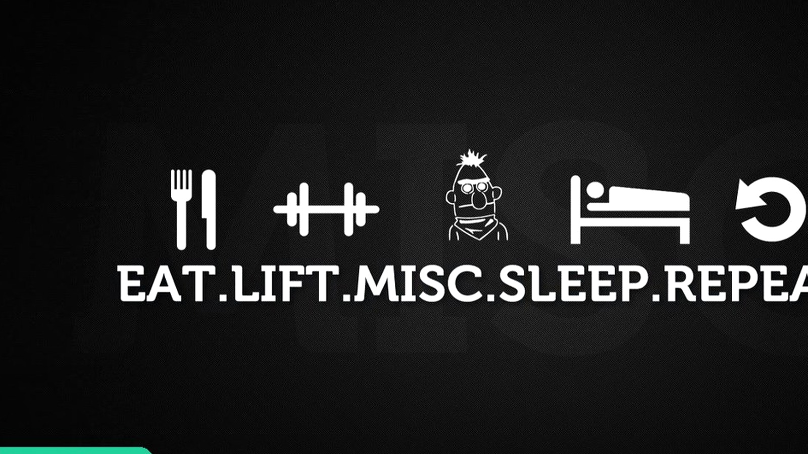 CNK Fitness — Spor Salonu Yönetim Sistemi